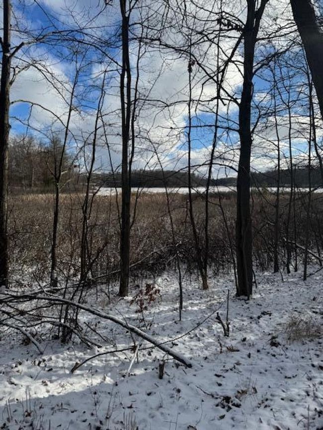 PARCEL-1 - V/L W Snows Lake Road, Home with 0 bedrooms, 0 bathrooms and null parking in Fenwick MI | Image 28