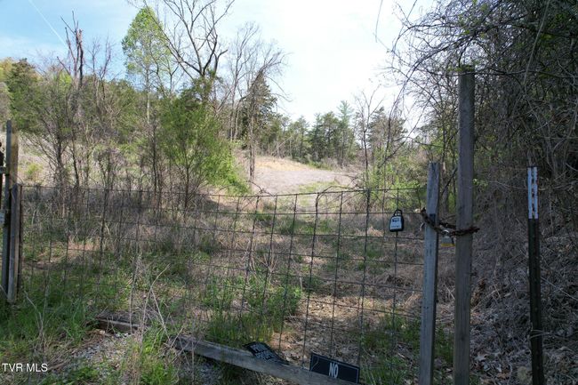 0 Coy Bradley Ln, Home with 0 bedrooms, 0 bathrooms and null parking in Bulls Gap TN | Image 23