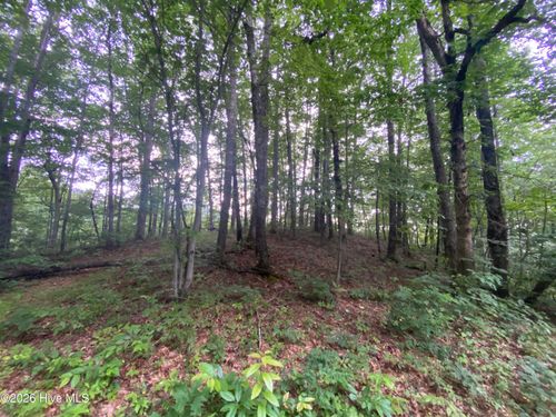 0 Red Bird Drive, Hayesville, NC, 28904 | Card Image