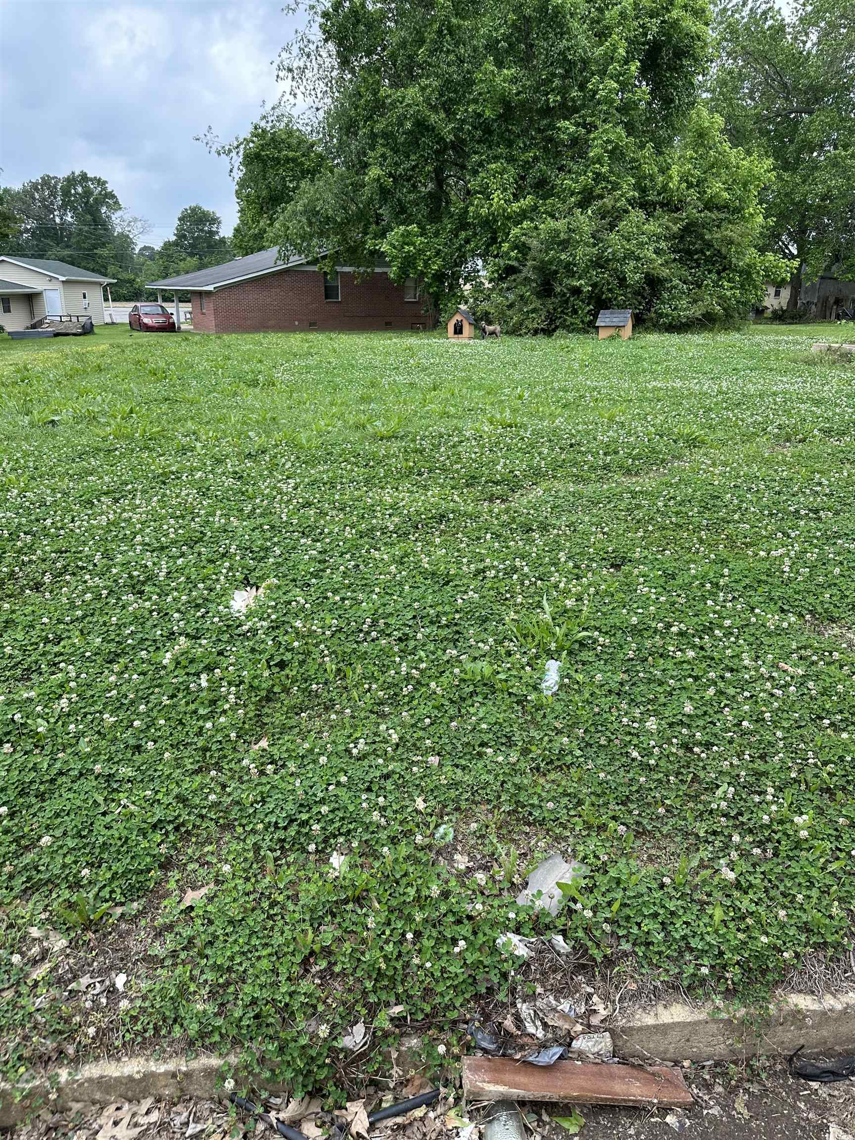 Hess St, Brownsville, TN 38012