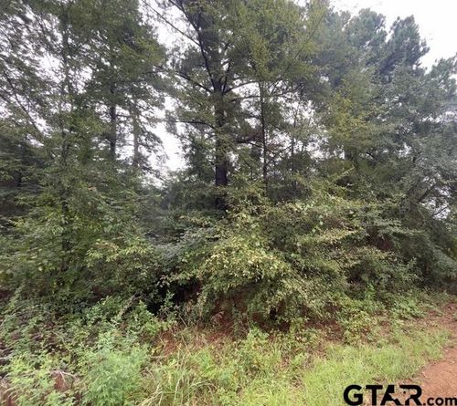 244 Sand Jack Dr, Bullard, TX, 75757 | Card Image