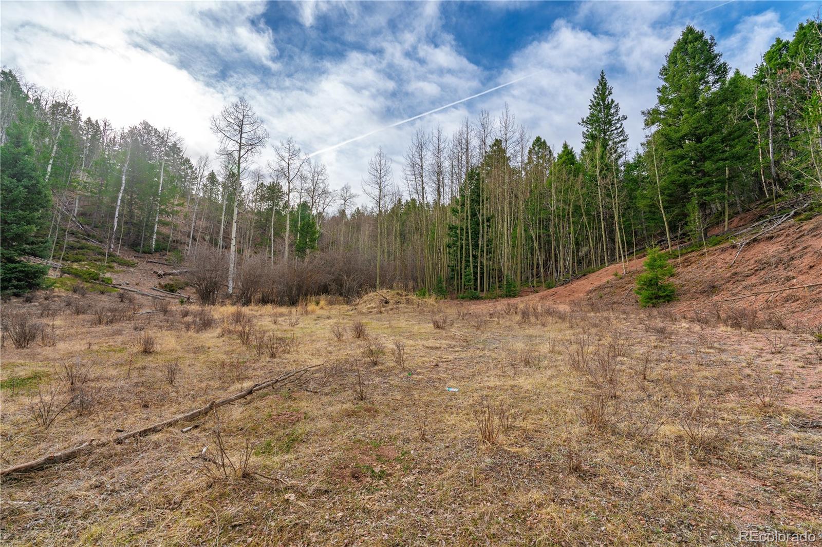 Land in Cripple Creek