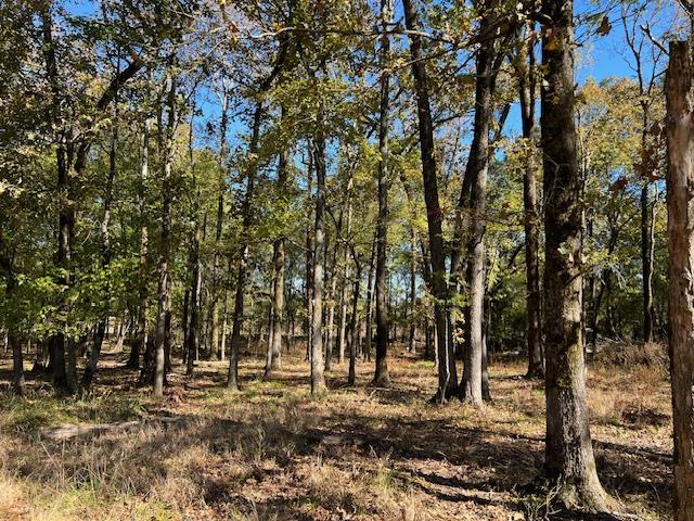 Land in Broken Bow 3