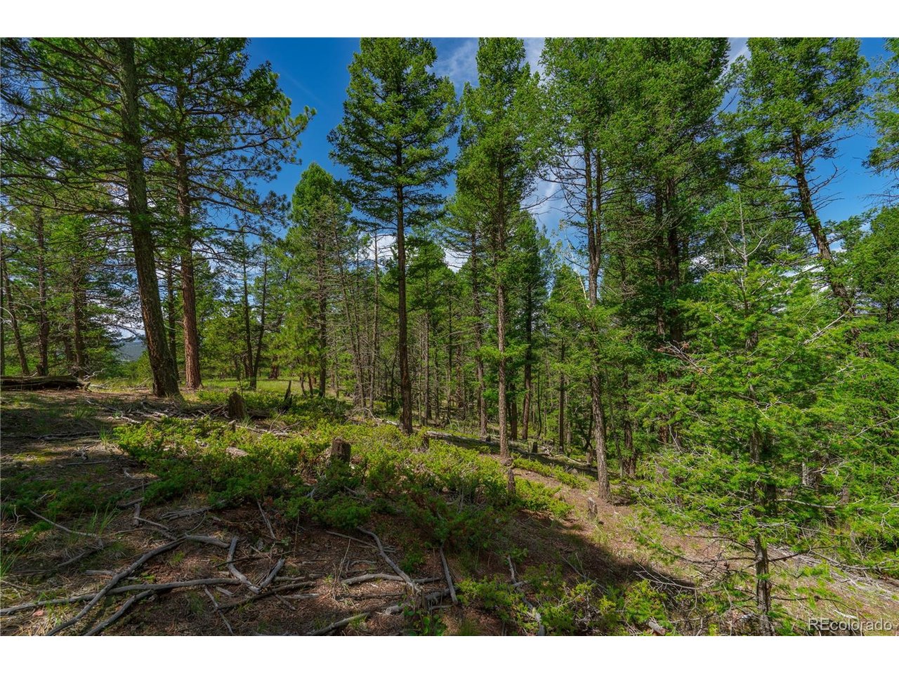 Land in Florissant 3