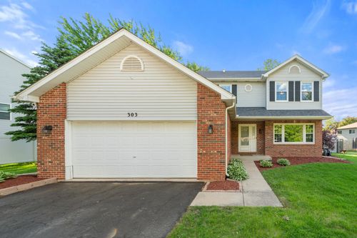 303 Chipmunk Dr, Oswego, IL, 60543-8507 | Card Image