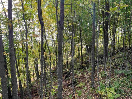 XXX Ford River Rd, FELCH, MI, 49831 | Card Image