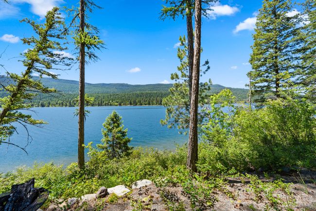 Water view with a heavily wooded area and a mountainous background | Image 34