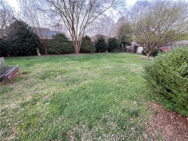Back Yard | Image 12