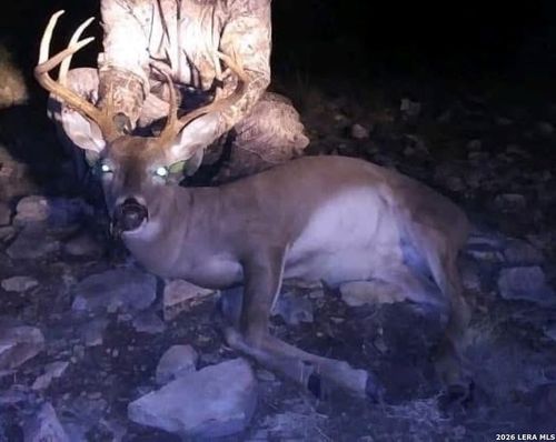 1213 Sd 42200, Rocksprings, TX, 78880 | Card Image