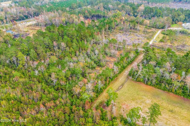 Near 169 Lizzies Drive, Home with 0 bedrooms, 0 bathrooms and null parking in Bolton NC | Image 6