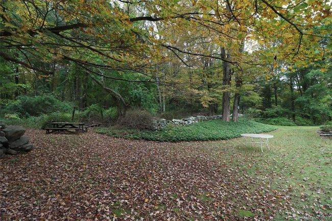 back yard | Image 22