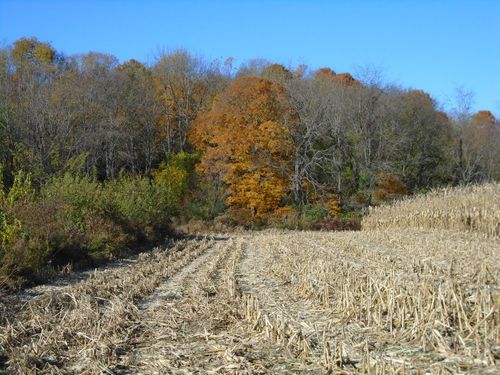 9261 S State Road 3, Milroy, IN, 46156-9694 | Card Image