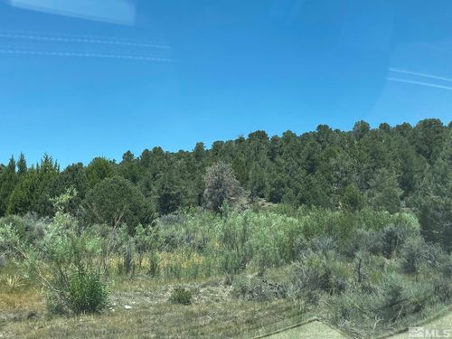 77-tbd P14 Blm Trail (77) Trail, Minden, NV, 89423 | Card Image