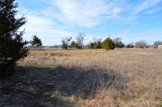 Pasture is possible | Image 33