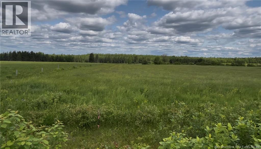 Land in Steeves Mountain 5