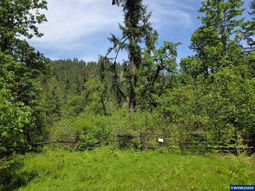 Lot 500 Lewis Cemetery Rd Se, Silverton, OR, 97381 | Card Image
