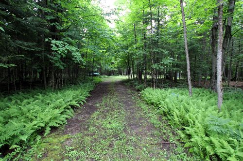 0 Pilgers Road, Nipissing, ON, P0H1J0 | Card Image