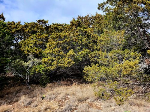 2066 Stallion Springs Dr, Fischer, TX, 78623-1849 | Card Image