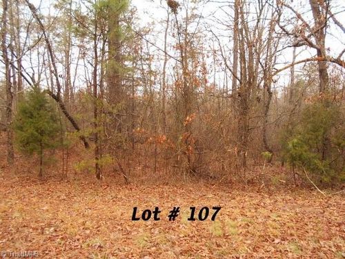 #107 Deer Run, Eden, NC, 27288 | Card Image