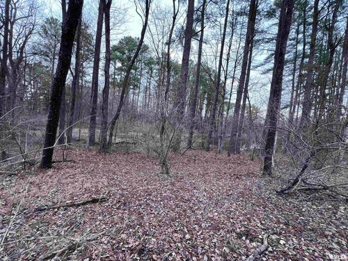 449 Pine Ln, Murphysboro, IL, 62966-5234 | Card Image