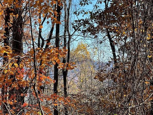 54c-36 54C Ash Branch Cir, Hayesville, NC, 28904-4881 | Card Image