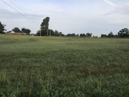 Lot 1-3 Smiths Grove Scottsville Road, Oakland, KY, 42159 | Card Image