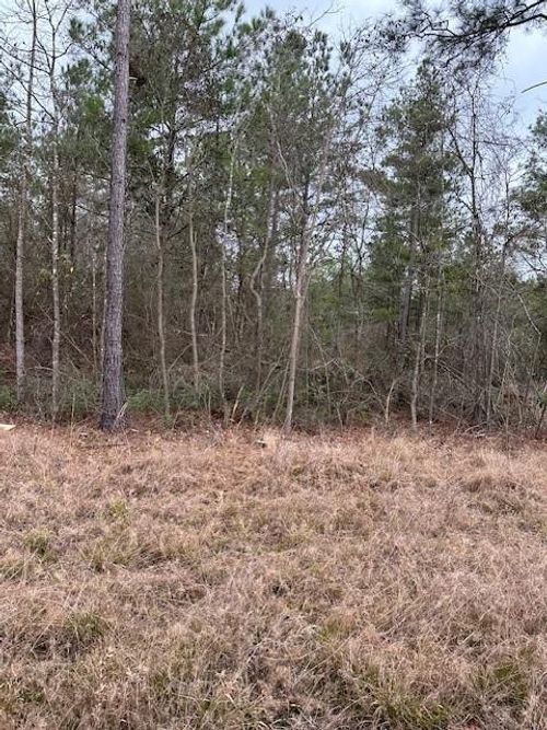 0 Salco Rd E, Axis, AL, 36505 | Card Image