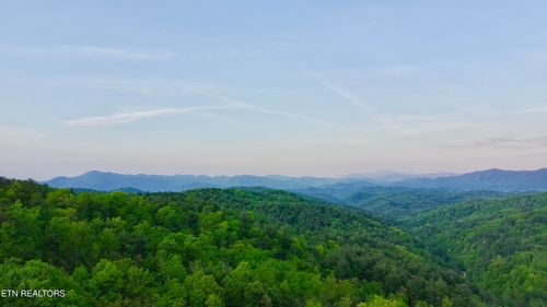 Lot 41 Black Maple Way, Del Rio, TN, 37727 | Card Image