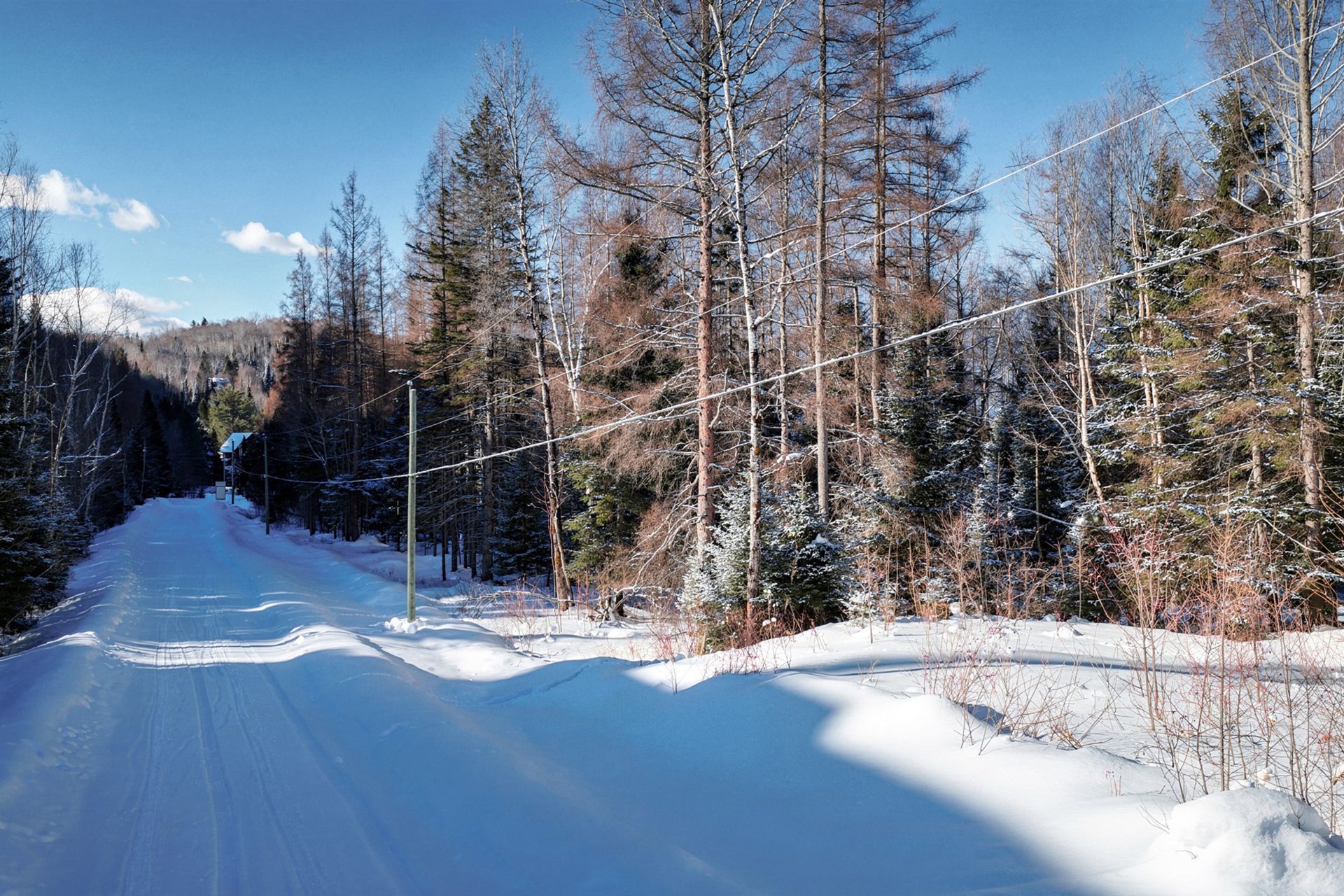 Land in Mont-Tremblant 3