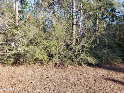 0 Saw Grass Pt, Gautier, MS, 39553 | Card Image