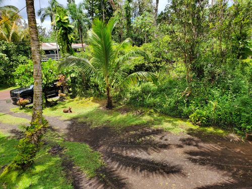 12-4304 Hilo St, PAHOA, HI, 96778-7812 | Card Image