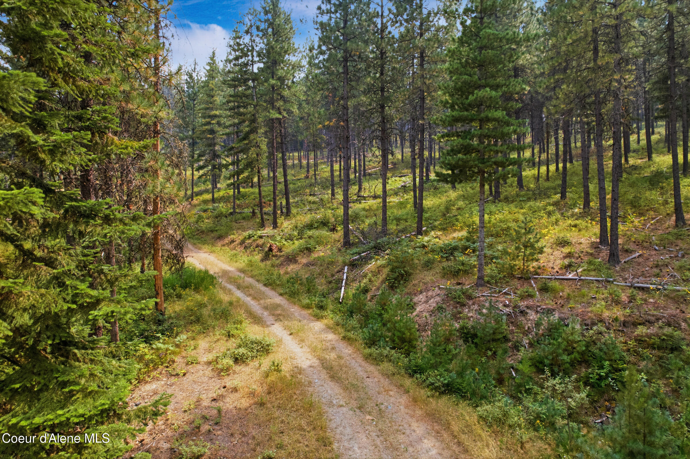 Land in Pinehurst 3