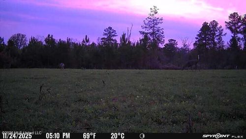 4433 Samuel Ln, Gloster, MS, 39638-3732 | Card Image