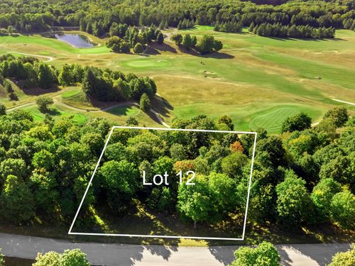 12 Heather Ridge Trl, Beulah, MI, 49617-8552 | Card Image