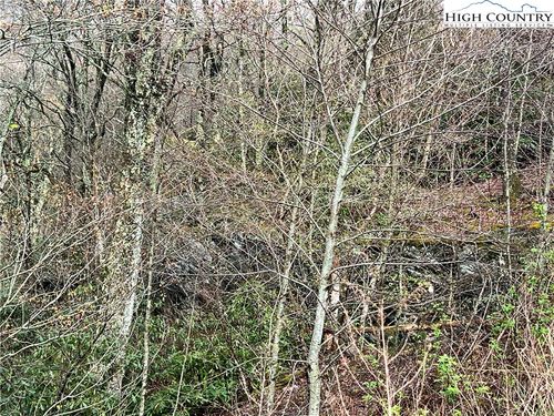 Lot 17 Cielo Rd, Blowing Rock, NC, 28605 | Card Image