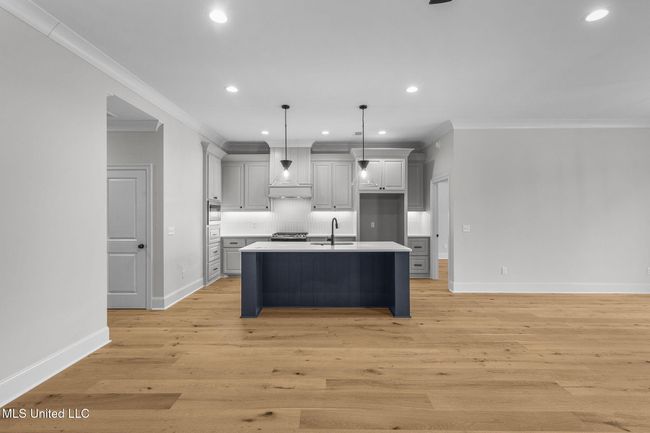 14-web-or-mls-202 Lizzy-15 | Image 12