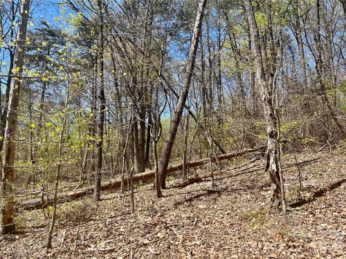 0000 Pilgrim Church Road, Hiddenite, NC, 28636 | Card Image