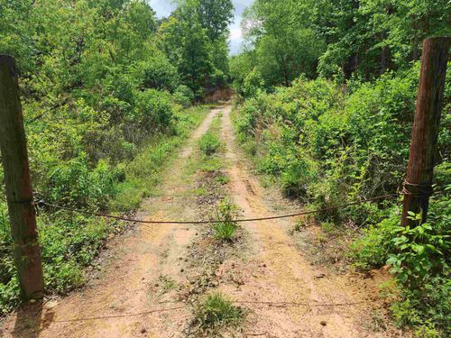 8619 Aster Road, Gilmer, TX, 75644 | Card Image