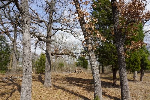 1698 Doc Holiday Dr, Malakoff, TX, 75148 | Card Image