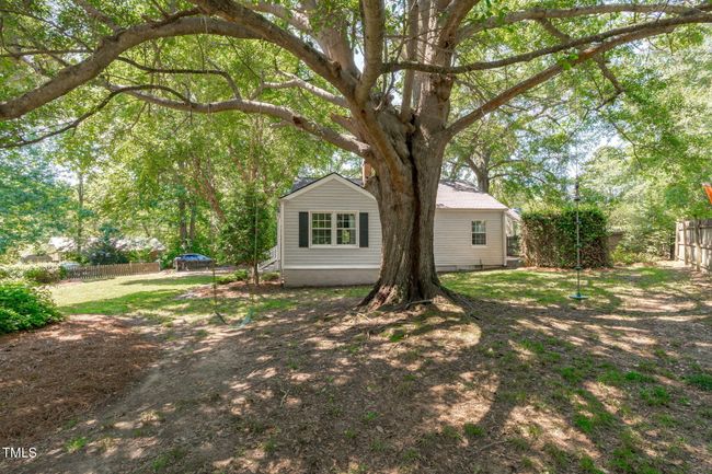 Side Yard | Image 32
