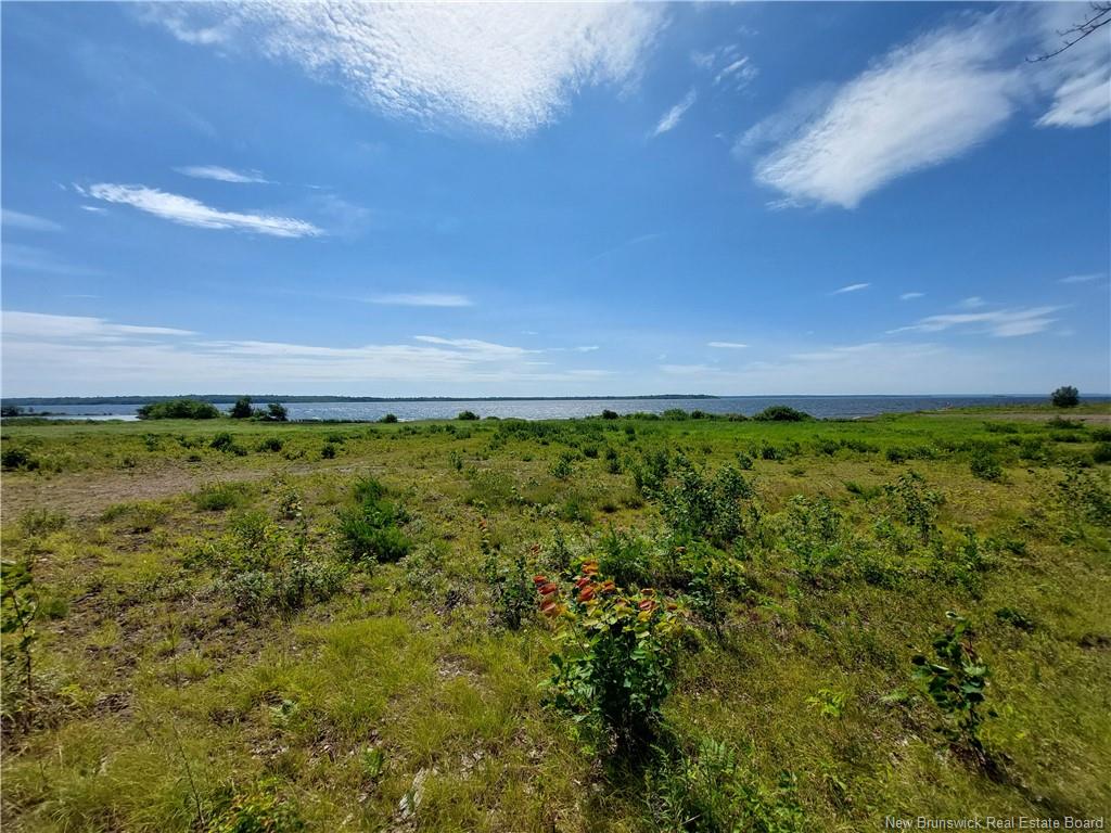 Land in Newcastle Creek 4