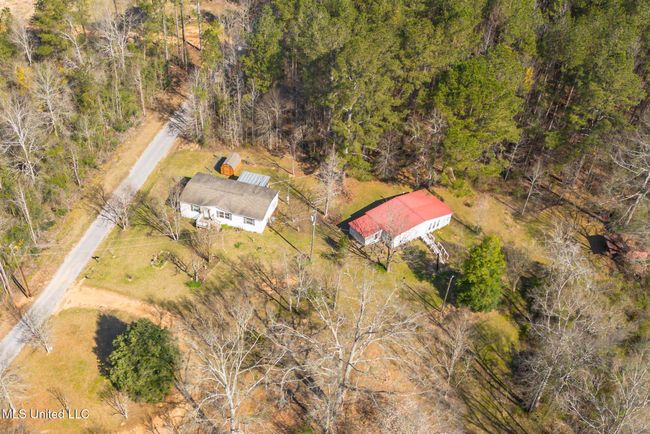 150 Pine Tree Drive-23 | Image 23