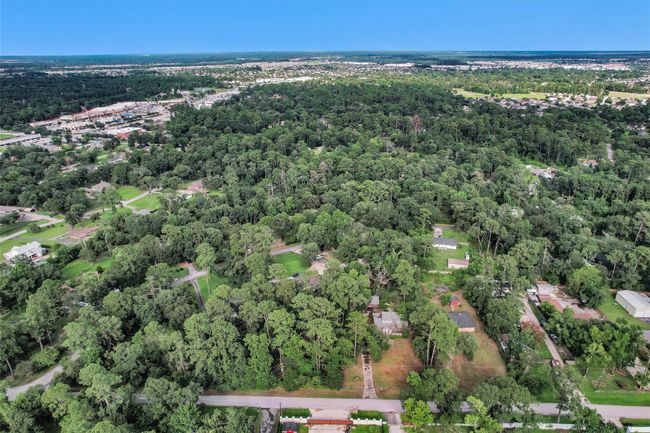 29526 W Hawthorne Dr, Home with 0 bedrooms, 0 bathrooms and null parking in Spring TX | Image 26