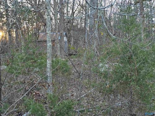 .74 Acres Lot#2 Wesley Childers Road, New Hope, AL, 35760 | Card Image