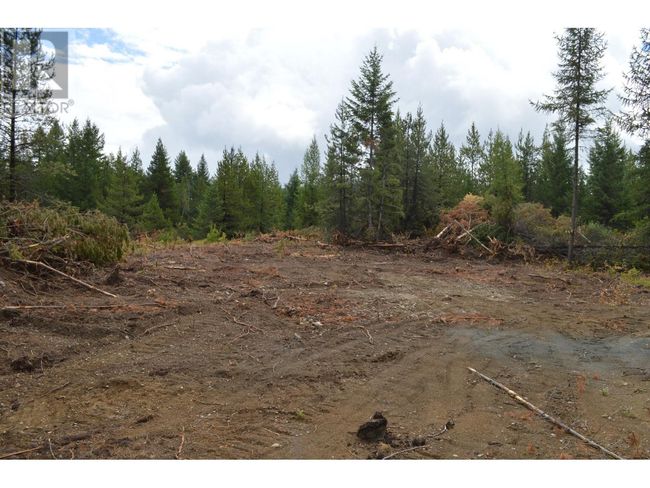 Lot 2 3 Rd St, Home with 0 bedrooms, 0 bathrooms and null parking in Kootenay Boundary BC | Image 10