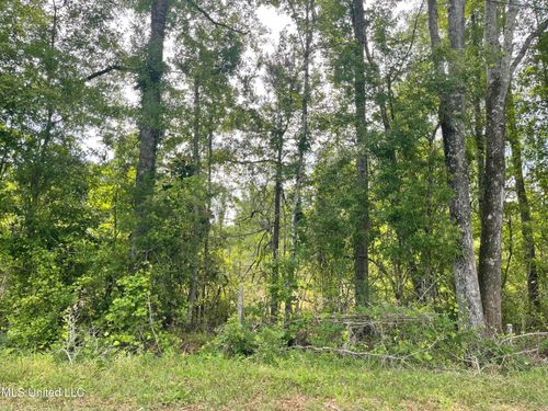 316 Thompson Hill Rd, Mc Lain, MS, 39456-2720 | Card Image