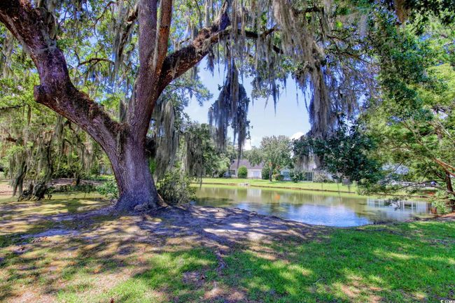 View of green lawn with a water view | Image 30
