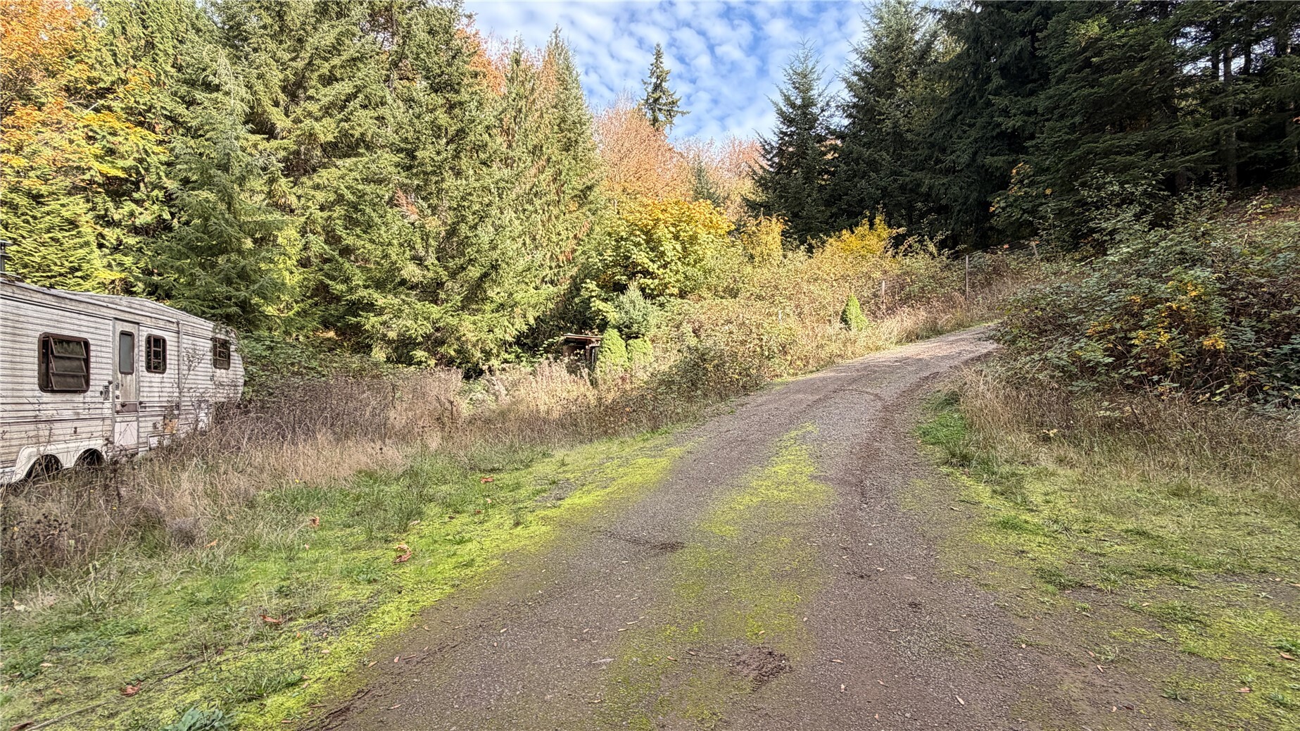 Land in Kalama 4