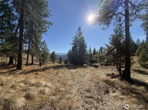 9999 Shade Tree Rd, Republic, WA, 99166 | Card Image