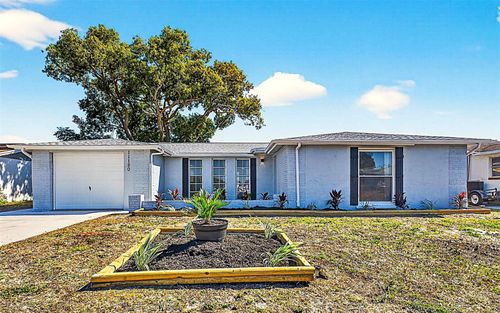 11120 Tamarix Ave, PORT RICHEY, FL, 34668-2334 | Card Image